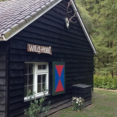 Holiday home Landgoed Dennenholt Vierhouten