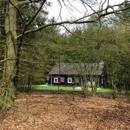 Holiday home Landgoed Dennenholt Vierhouten