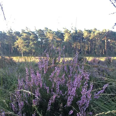 Landgoed Dennenholt Vierhouten