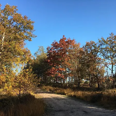 Landgoed Dennenholt