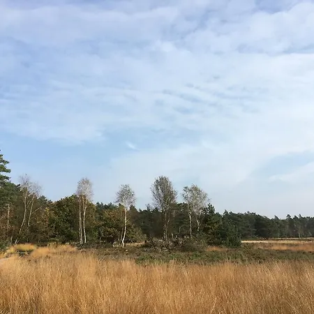 Prázdninový dům Landgoed Dennenholt *