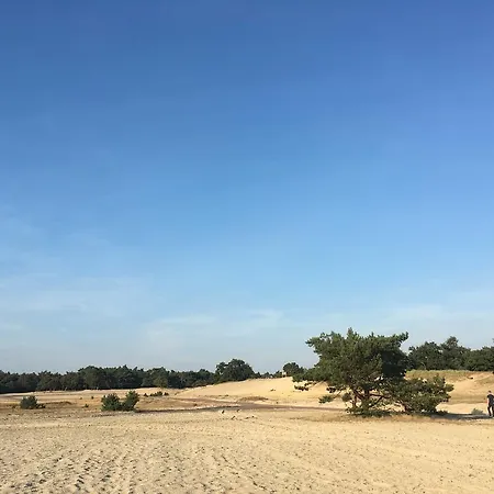 Landgoed Dennenholt * Vierhouten