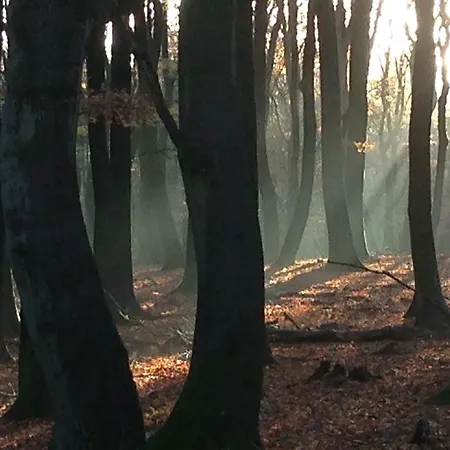 Landgoed Dennenholt Vierhouten