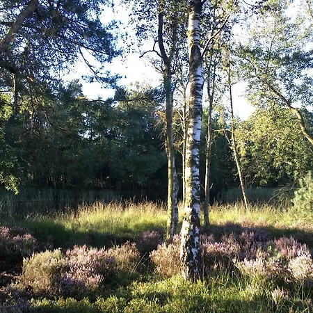 Holiday home Landgoed Dennenholt