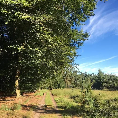 Landgoed Dennenholt Holiday home *
